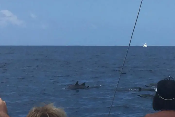 a person standing next to a body of water